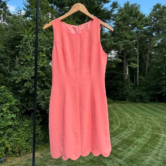 Eye of the Needle | Audrey Scallop Sheath Dress - Picture 1 of 6